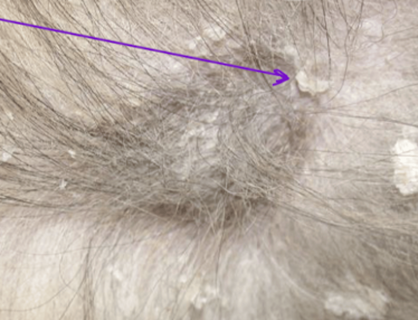 <p>what are these?</p>