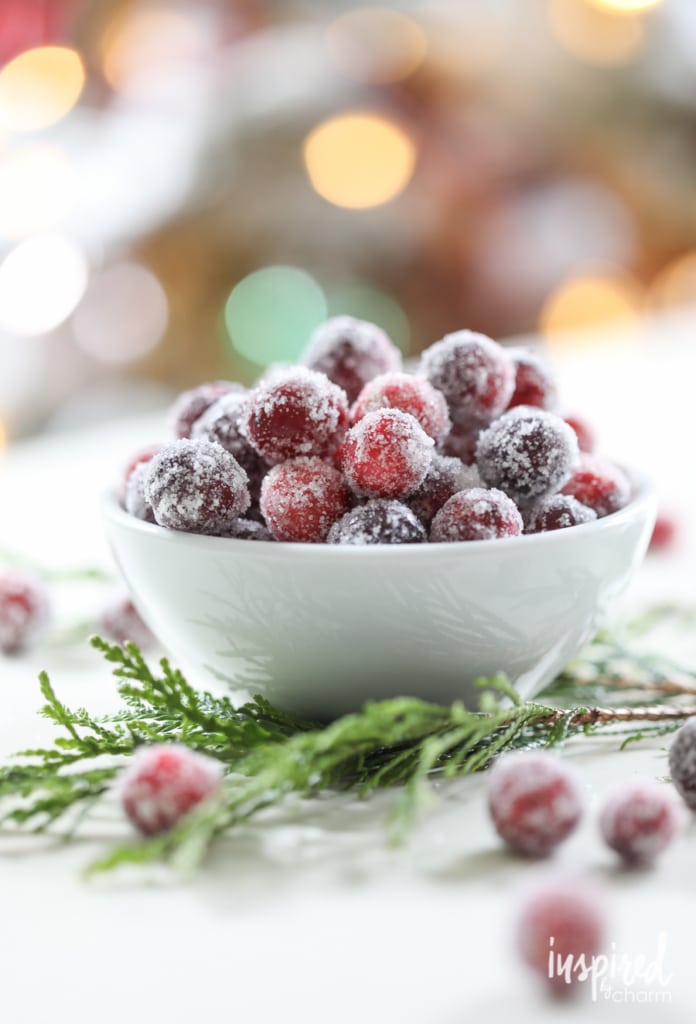 <p>Fleshy Fruits</p>