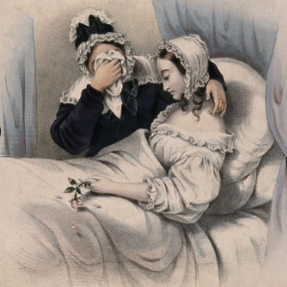 <ul><li><p>victim of diseases were romanticized as pale beauties</p></li></ul>