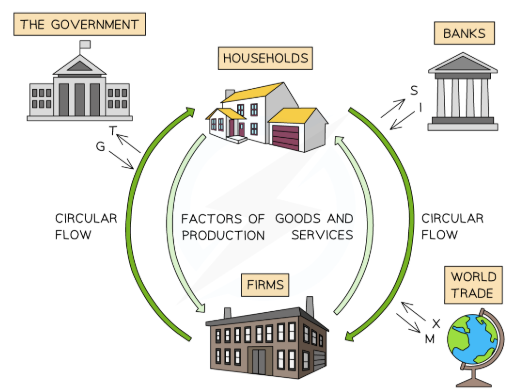 <ul><li><p>How money, goods and resources move around in the economy </p></li><li><p>Highlighting the interdependence between different economic agents </p></li></ul><p></p>