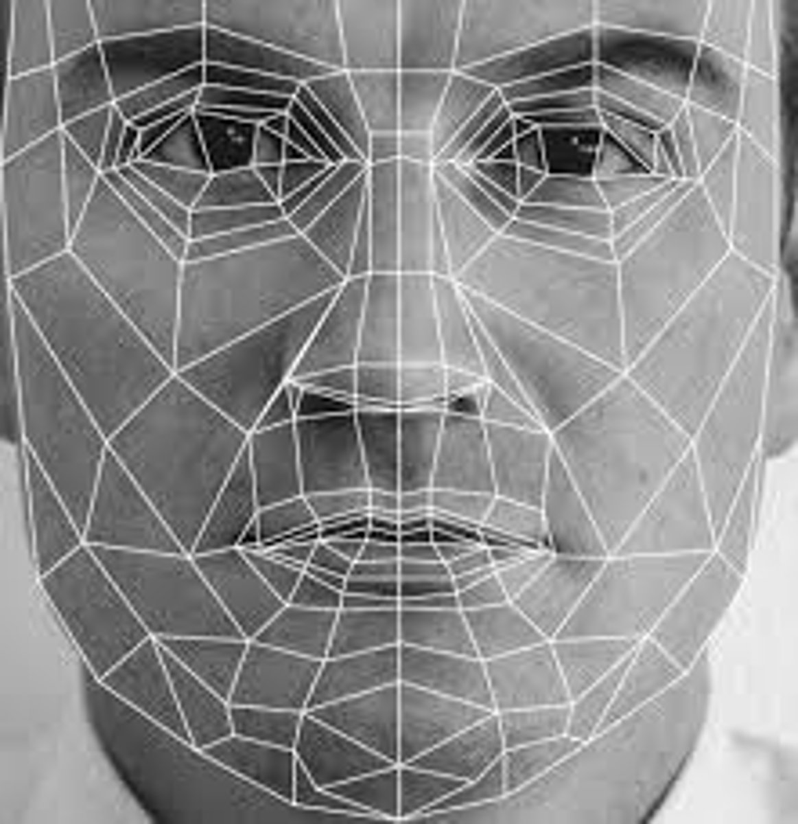 <p>(n): sự nhận dạng</p>