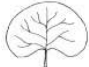 <p>What leaf is this?</p>