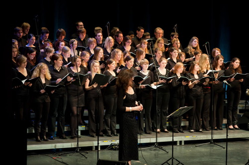 the choir, the choirs