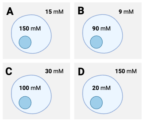 <p>For which cells will the net diffusion of water be out of the cell?&nbsp;Select <strong>all</strong> that apply.</p><ul><li><p><span>a. Cell <strong>A</strong></span></p><p></p></li><li><p><span>b. Cell <strong>B</strong></span></p><p></p></li><li><p><span>c. Cell <strong>C</strong></span></p><p></p></li><li><p><span>d. Cell <strong>D</strong>&nbsp;</span></p></li></ul><p></p>