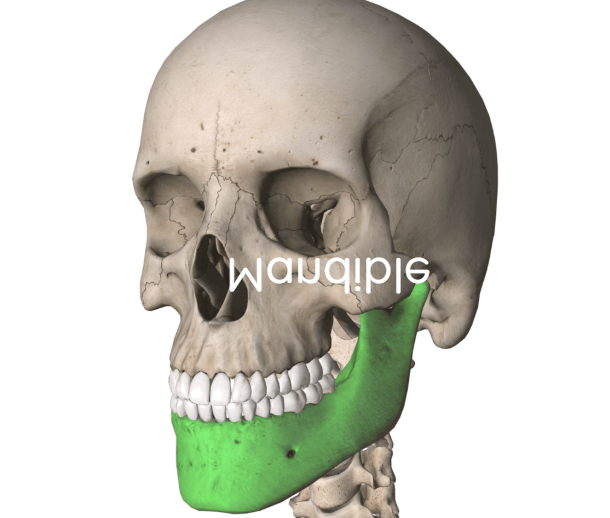 term image