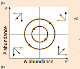 <p>Explain this graph</p>