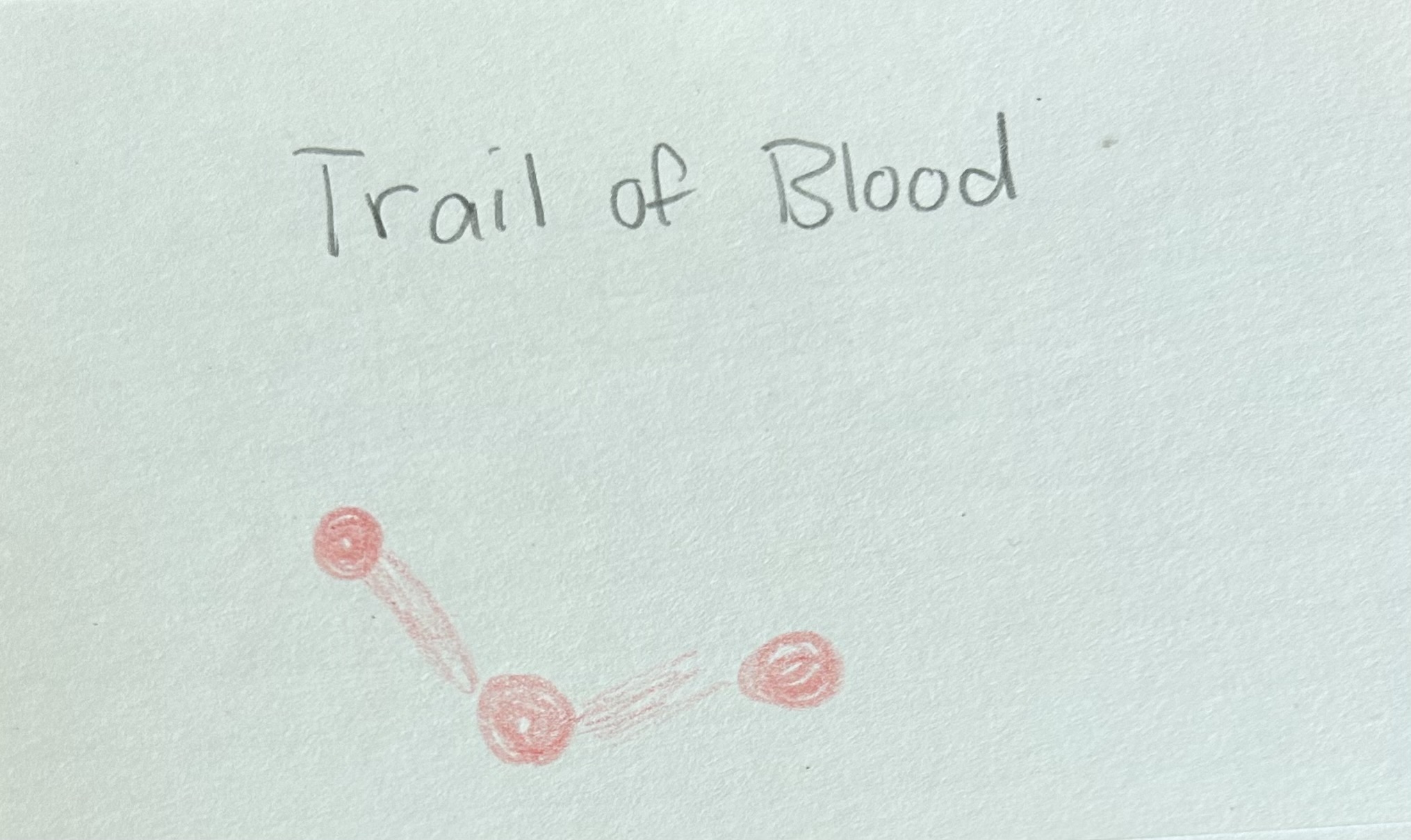 <p>Blood stains or spatter patterns that show movement of a person or object after a blood source was present</p>