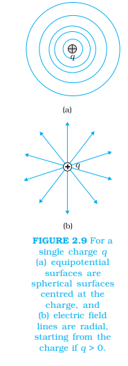 <p>Equipotential surfaces</p>