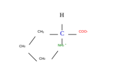 <p>What amino acid is this?</p>