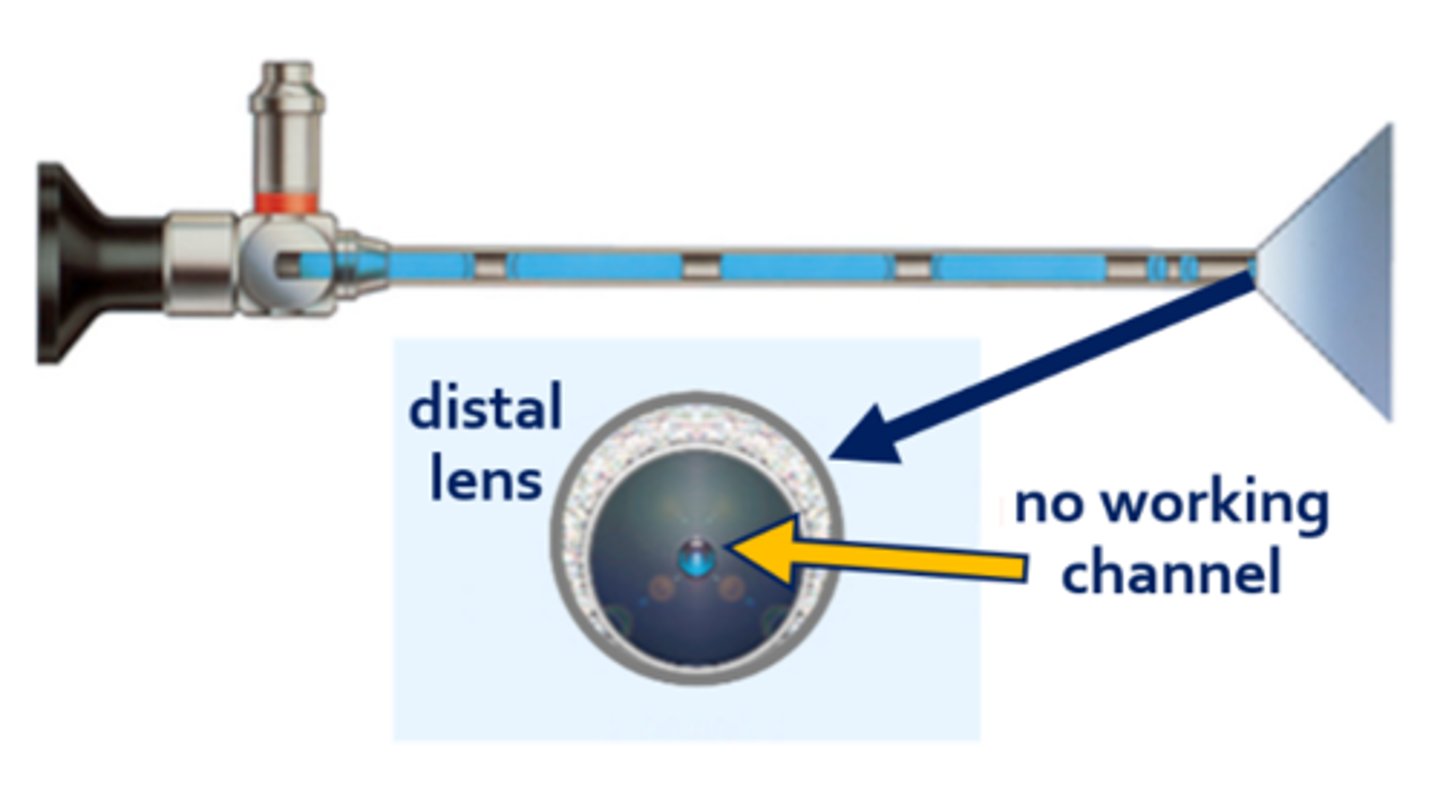 <p>an endoscope that can view anatomy but cannot be used to perform surgical procedures</p>