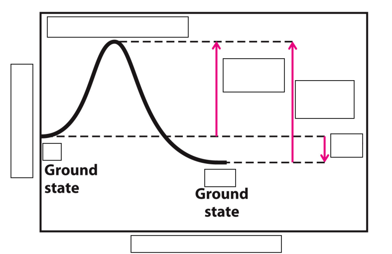 <p>Label this Reaction Coordinate Diagram.</p>