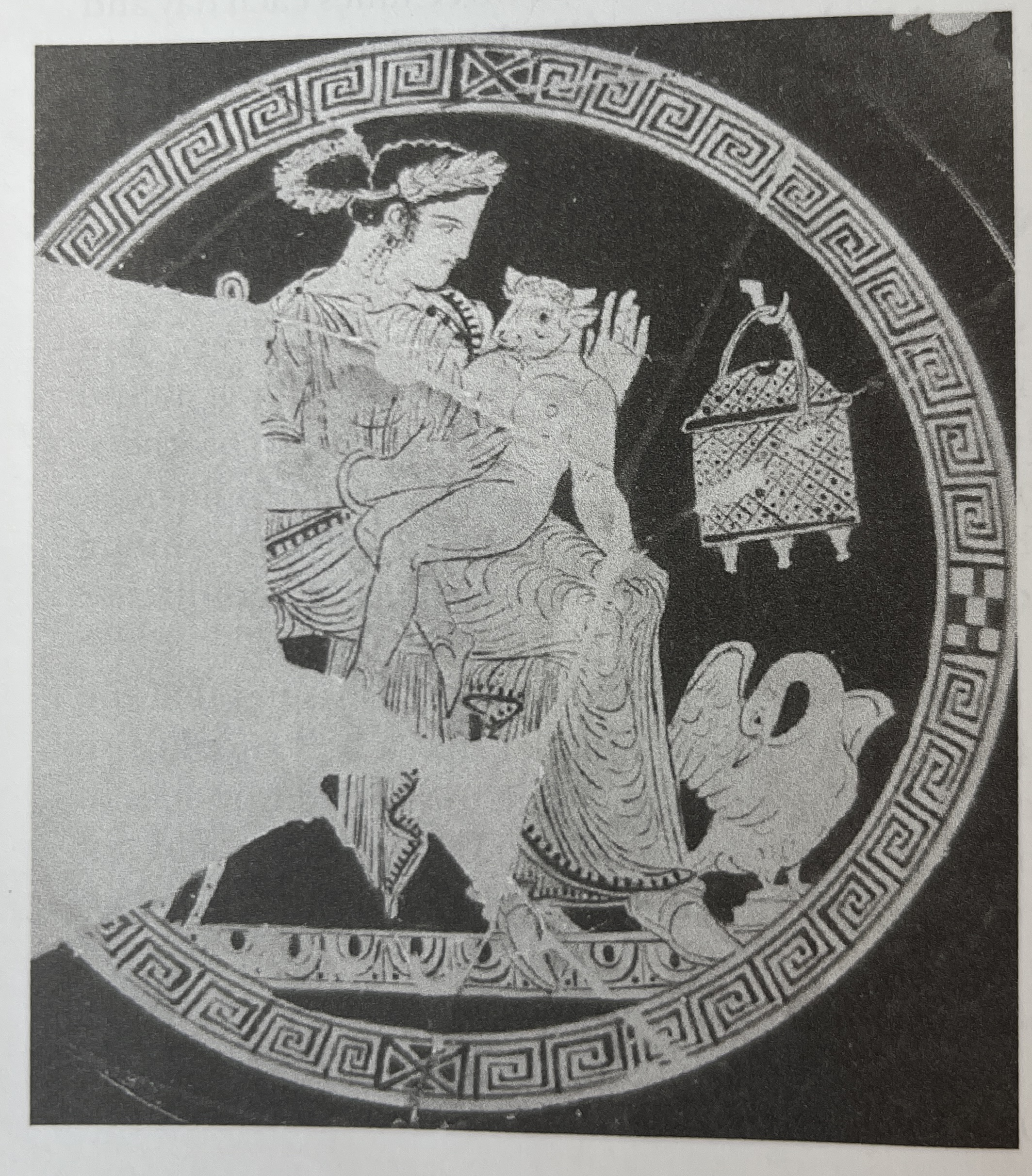 term image