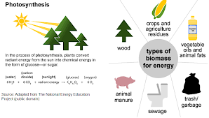 <ul><li><p><span>Release air pollutants&nbsp;</span></p></li><li><p><span>Major threat to supply of food globally</span></p></li><li><p><span>Destruction of forest for farming of biomass</span></p></li></ul>