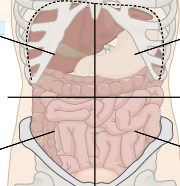 <p>Identify the regions</p>