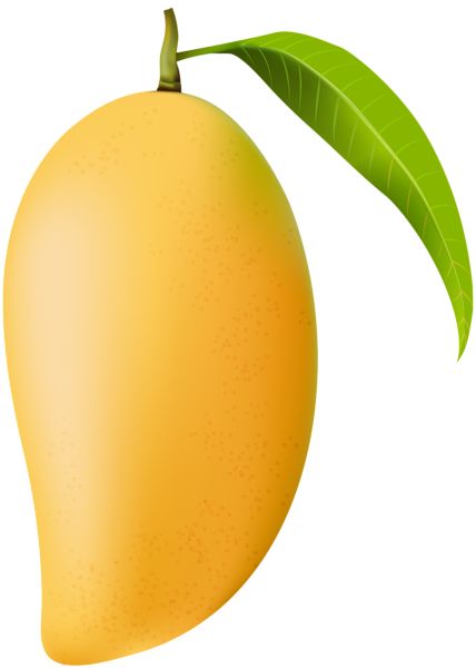 <p>Mango</p>