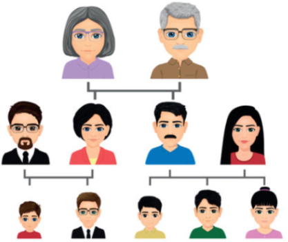 <ul><li><p><span style="background-color: transparent; font-family: "Helvetica Neue", sans-serif;">Diversification is additive and exponential</span></p><ul><li><p><span style="background-color: transparent; font-family: "Helvetica Neue", sans-serif;">Additive: Occurs independently each generation</span></p></li><li><p><span style="background-color: transparent; font-family: "Helvetica Neue", sans-serif;">Exponential: Multiplies as progeny increase over generations</span></p></li></ul></li><li><p><span style="background-color: transparent; font-family: "Helvetica Neue", sans-serif;">Each generation:</span></p><ul><li><p><span style="background-color: transparent; font-family: "Helvetica Neue", sans-serif;">Inherits past diversity</span></p></li><li><p><span style="background-color: transparent; font-family: "Helvetica Neue", sans-serif;">Undergoes new recombination + independent assortment</span></p></li></ul></li><li><p><span style="background-color: transparent; font-family: "Helvetica Neue", sans-serif;">Organisms with shorter lifespans can diversify faster</span></p></li><li><p><span style="background-color: transparent; font-family: "Helvetica Neue", sans-serif;">Raises question: Does lifespan variation among species relate to rate of genetic diversification?</span></p></li></ul><p></p>