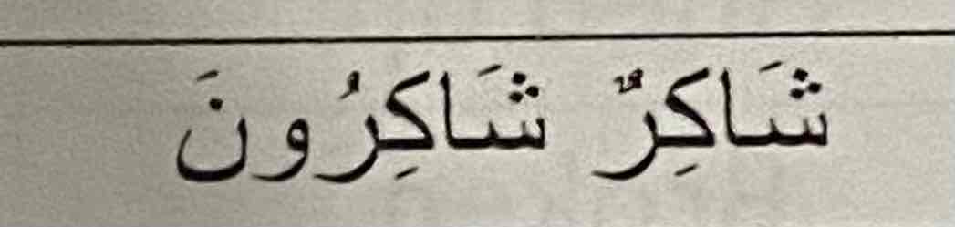 <p>Shakirun</p>