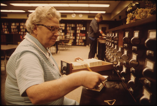 persona que trabaja en la biblioteca
(librarian)