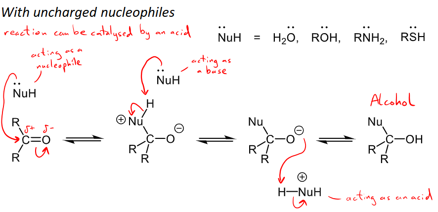 <ul><li><p>uncharged nucleophiles = H2O, ROH, RNH2, RSH (the O, N or S all have a lone pair that are able to react or act as the nucleophile)</p></li><li><p>Reaction can be catalysed by an acid</p></li><li><p>Nucleophilic addition occurs commonly with aldehydes and ketones</p></li></ul><p></p>