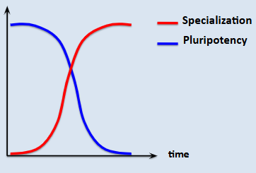 <p>specialised increase, pluripotent decrease with time</p>
