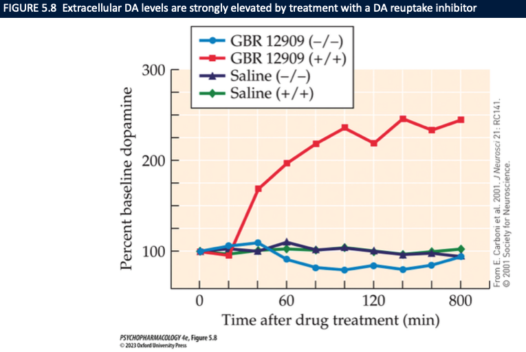<ul><li><p><strong>DA + NE transporters </strong>return NTs to the releasing cell for breakdown or repackaging into vesicles</p><ul><li><p>uptake by postsynaptic or glial cells</p></li></ul></li><li><p>transporter-blocking drugs <strong>enhance DA/NE transmission</strong> by ↑ing the amount of NT available</p></li></ul><p></p>