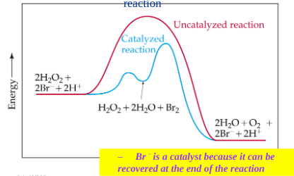 <p>appears as a reactant in an early step and reappears as a product in a later step without being consumed in the overall reaction</p>