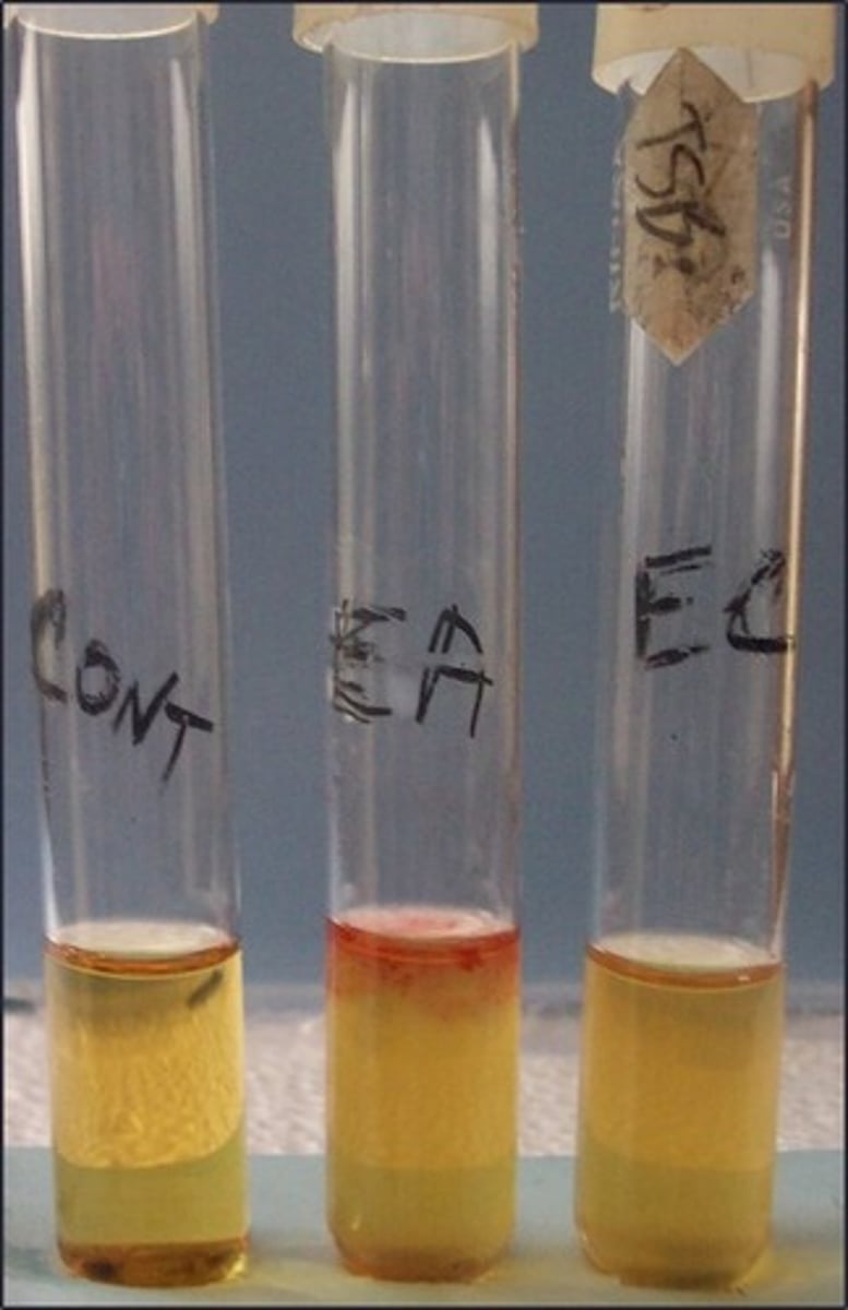 <p>These are the results for</p>