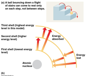 <p>Electron shells</p>
