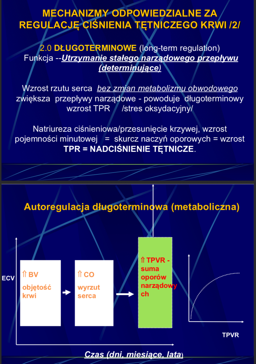 <ul><li><p>głowny mechanizm to mechanizm natriurezy ciśnieniowej</p></li></ul><p></p>