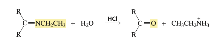 <p>HCl and H2O</p>