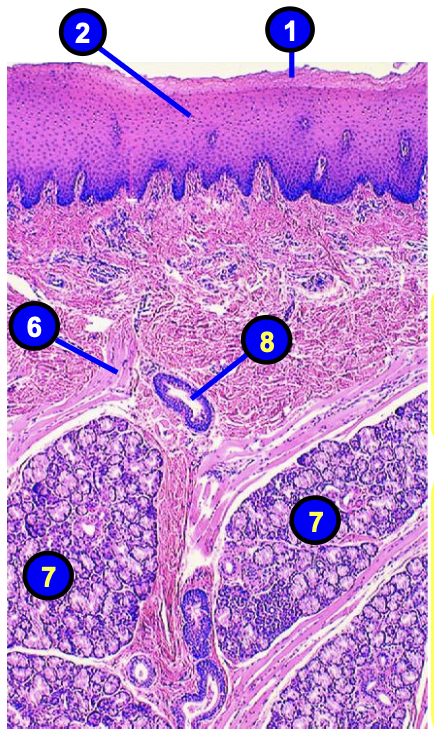 <p>what is number 2?</p>