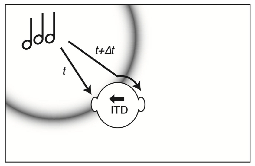 <p>the head attenuates/reduces intensity of sound </p>