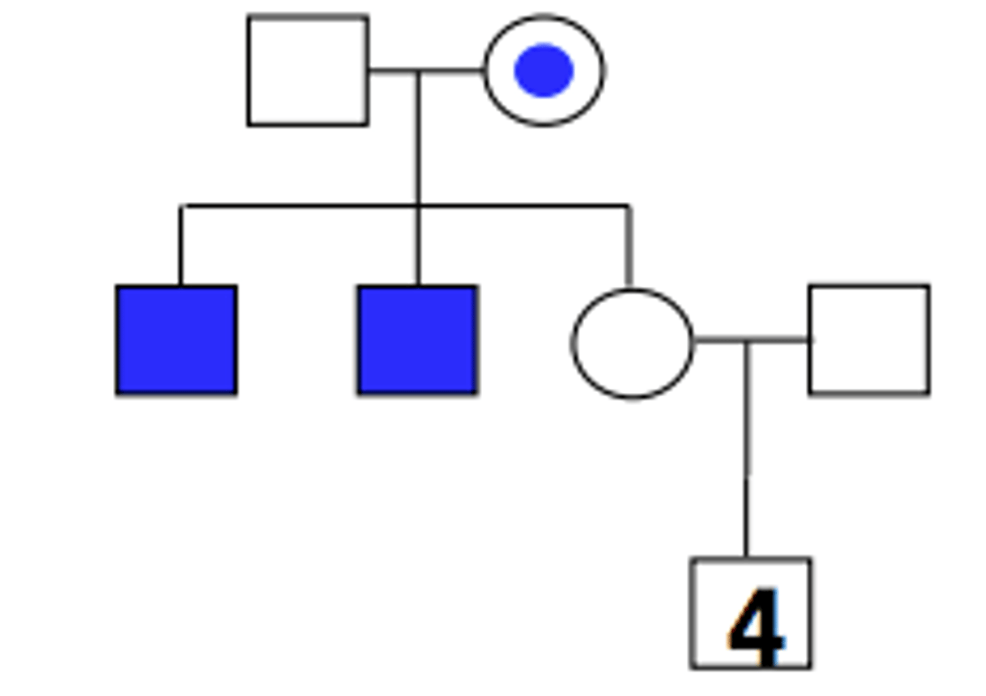 <p>What is the risk that II-3 carries the trait?</p>