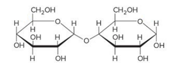 <p>Which compound is the following?</p>
