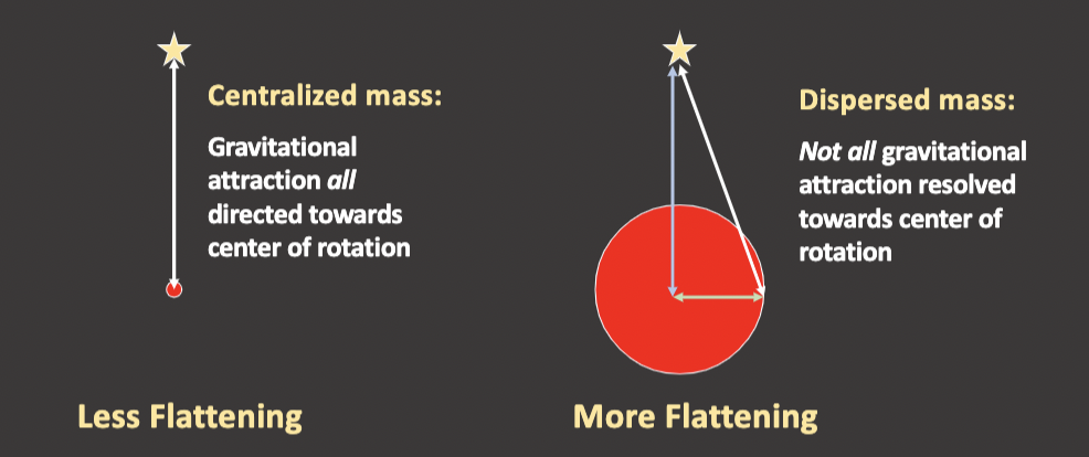 <ul><li><p>the inward force of gravity that keeps the bulge small</p></li><li><p>if mass is spread then the force will be weaker</p></li><li><p>if the mass is concentrated it will have a greater force</p></li></ul>