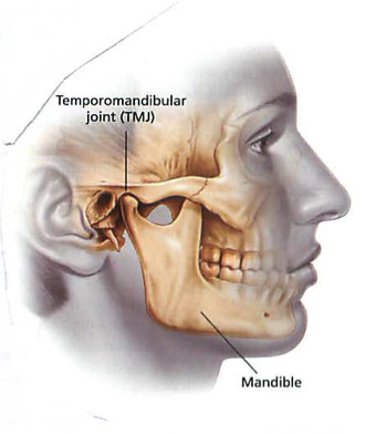 <p>Temporomandibular Joint (TMJ)</p>