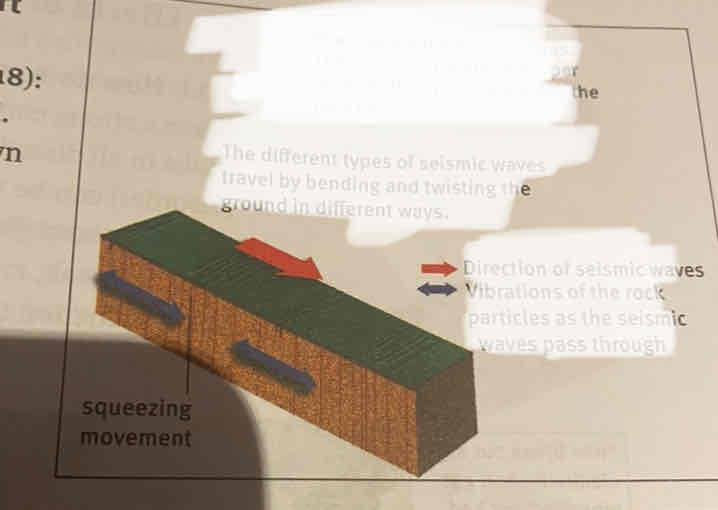 term image