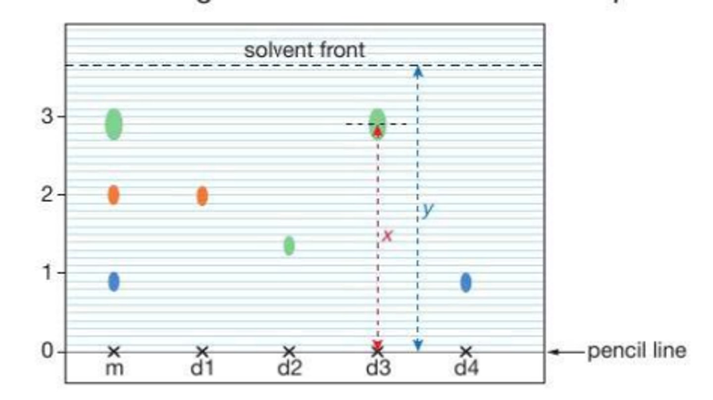 <p>the more soluble the dye is in the solvent the further it will move up the paper<br><br>each dye will be separated into smaller dyes , so we can see if dyes contain parts of each other</p>