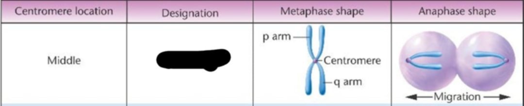<p>Where is the designation?</p>