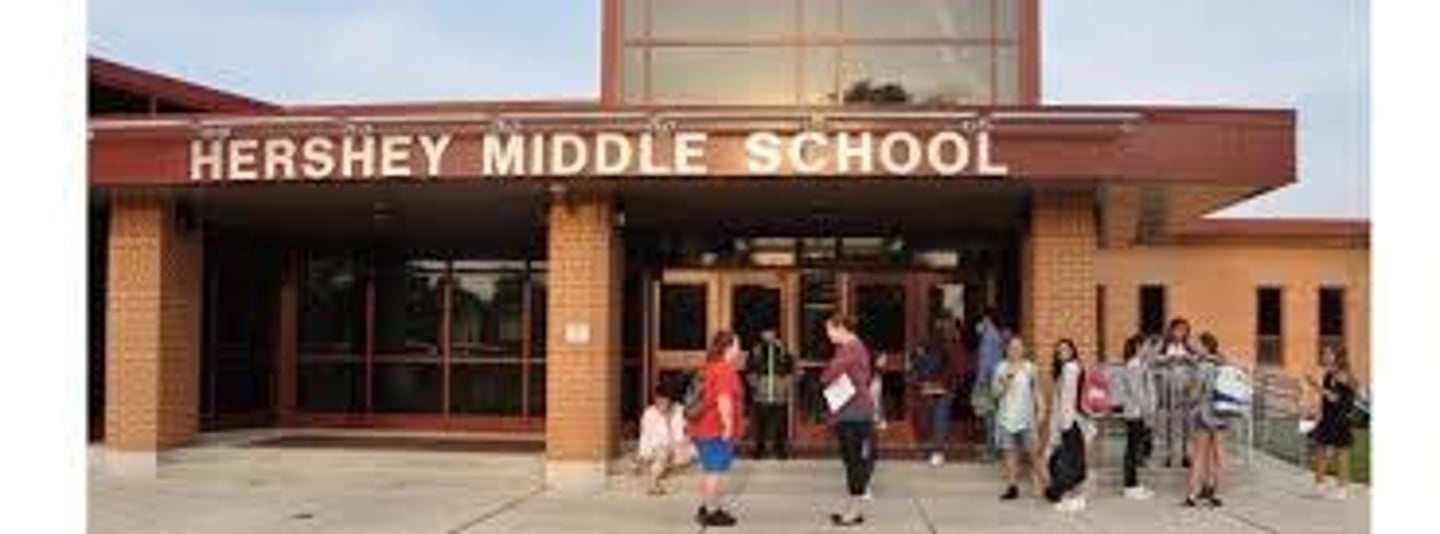 <p>secondary school</p>