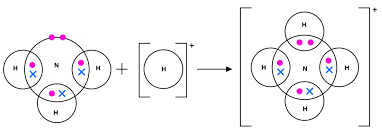 <p>a dative covalent bond is formed.</p>