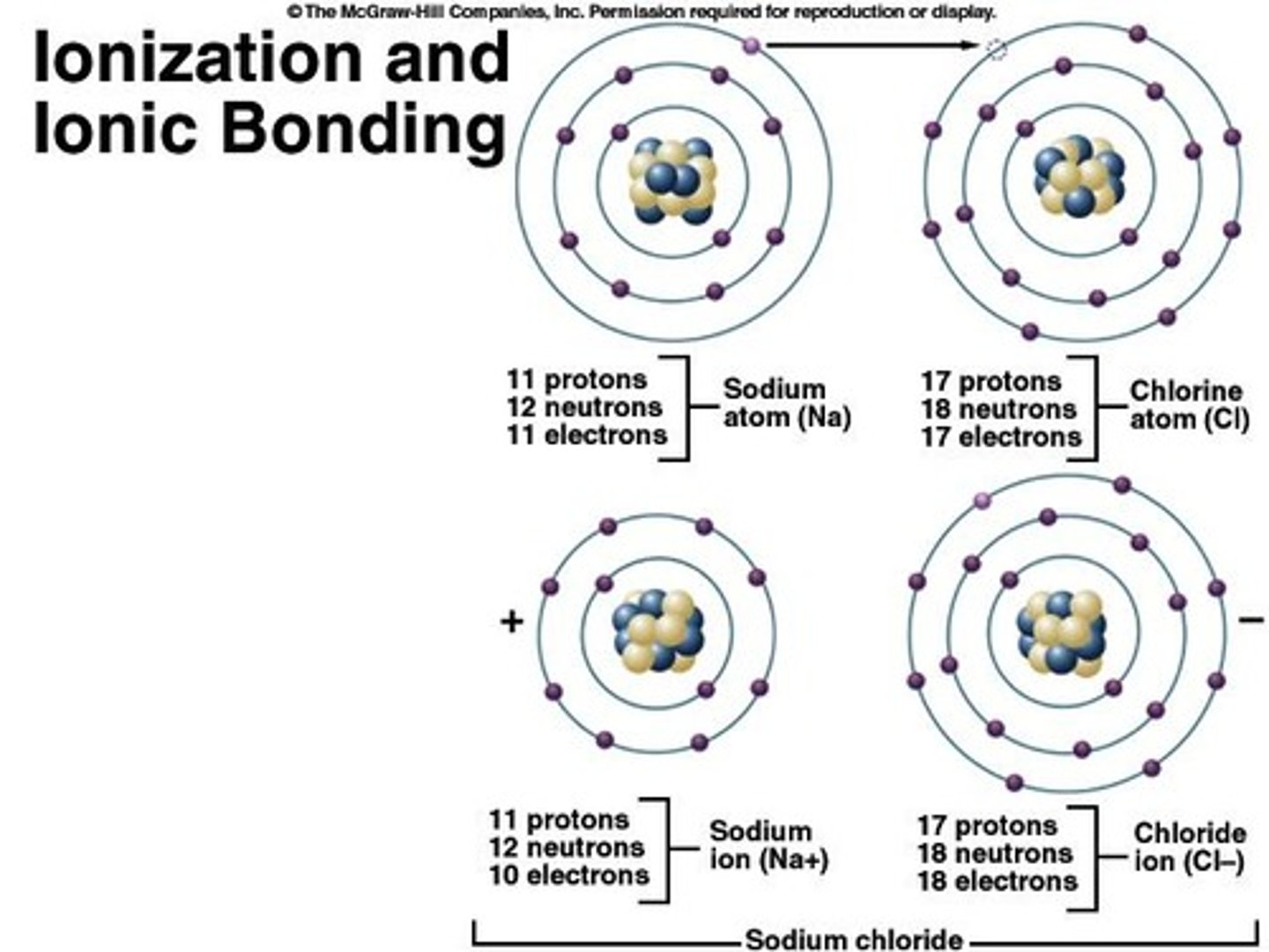 <p>Attraction of oppositely charged ions (cation &amp; anion) to each other forms an ionic bond - no sharing of electrons.</p>