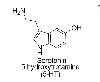 <ul><li><p>Ondansetron (Zofran), Granisetron (Kytril), Palonosetron (Aloxi)</p></li><li><p>Block 5HT3 receptors</p></li><li><p>Peripheral- Block small intestine 5HT3 to vagal and spinal afferent </p></li><li><p>Central- CTZ and STN</p></li></ul><p></p>