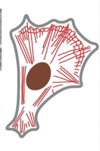 <p></p>