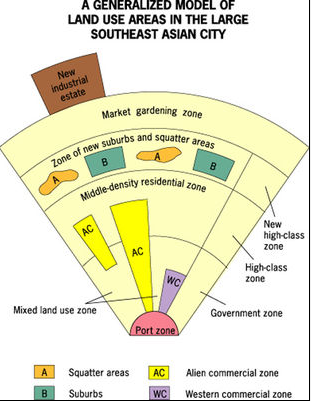 <p>A model that features high-class residential zones that stem from the center, middle-class residential zones that occur in inner city areas in suburban areas, and low-class income squatter settlements that occur in the periphery -Mostly occurs in developing cities in SE Asia.</p>