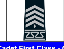 <p>Identify the Cadet Rank and Class Year</p>