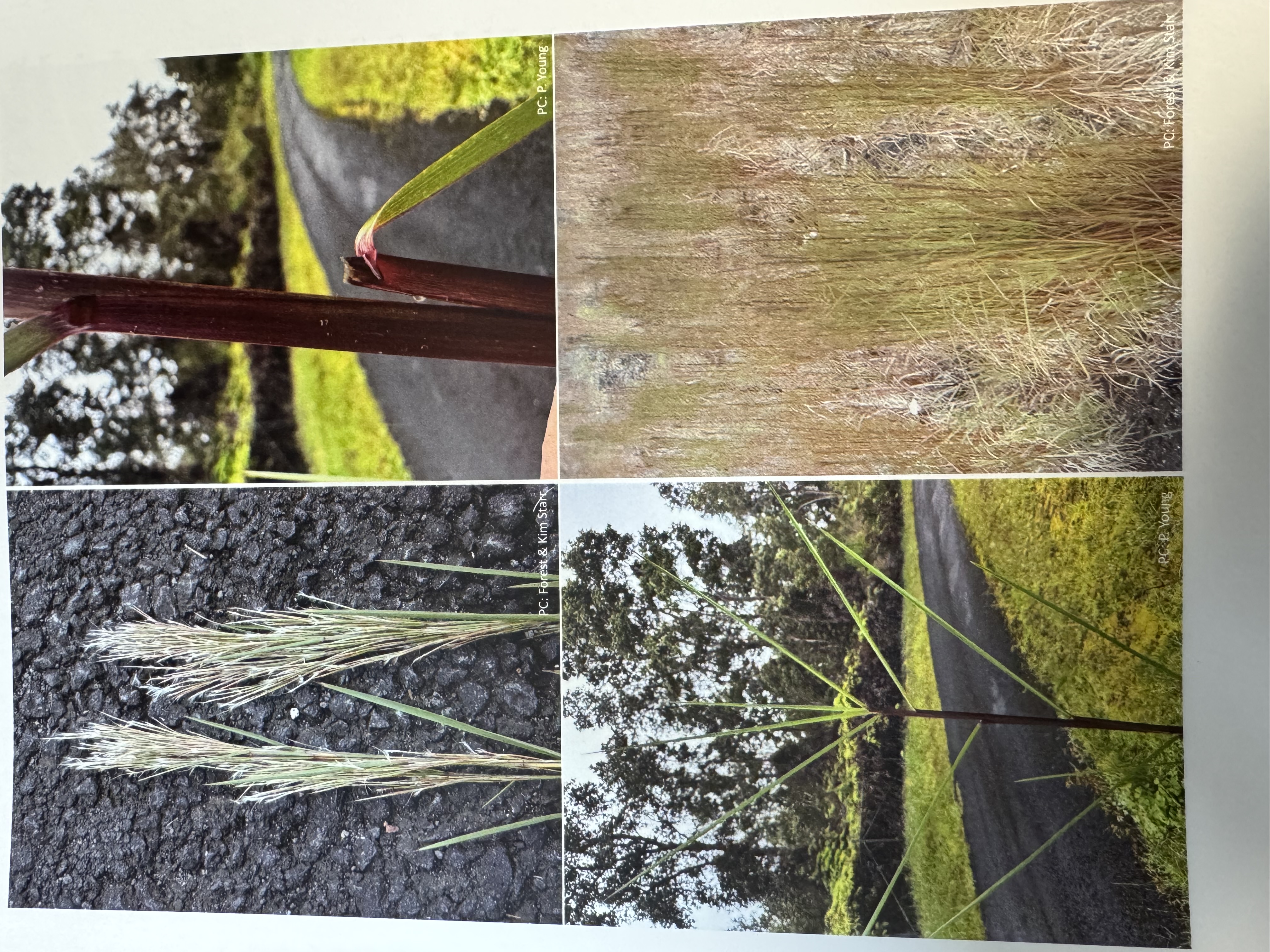 <img src="blob:null/ce6306e3-b08b-4e27-9129-5542a33c7bff"><p></p>