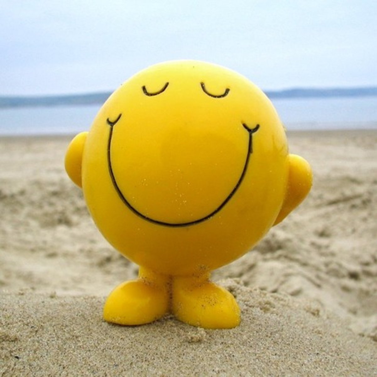 <p>contento, contenta</p>