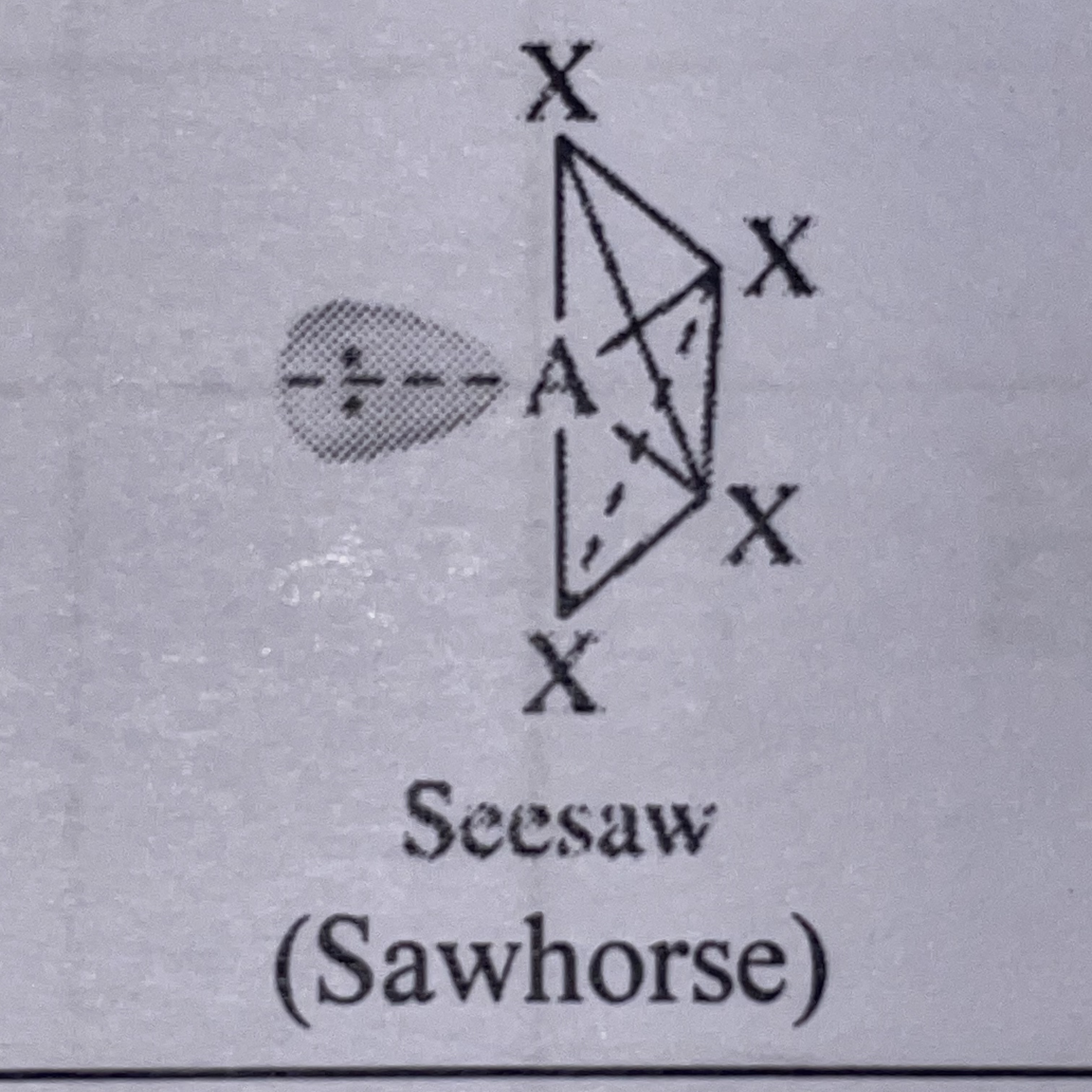 <p>Seesaw (Sawhorse)</p>