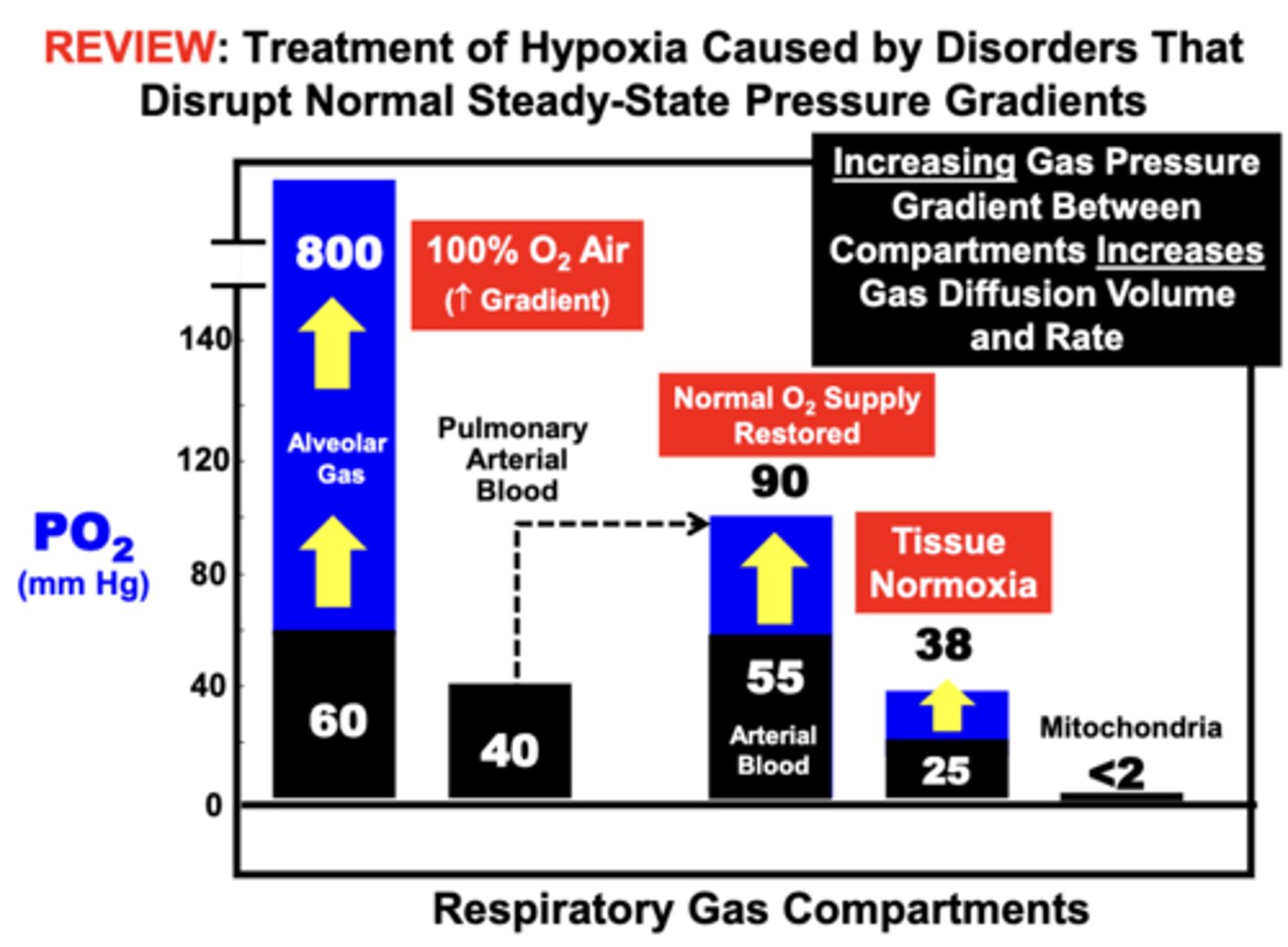 <p>gas diffusion between compartments, which can restore normal O2 supply to tissues</p>